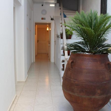 Carolina Apartments Crete Agia Pelagia Zewnętrze zdjęcie
