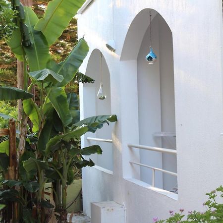 Carolina Apartments Crete Agia Pelagia Zewnętrze zdjęcie