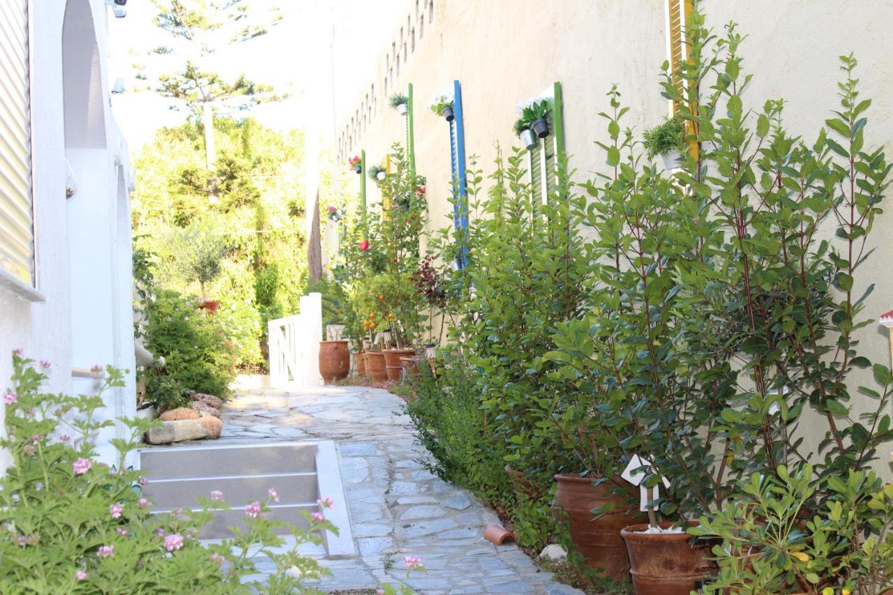Carolina Apartments Crete Agia Pelagia Zewnętrze zdjęcie