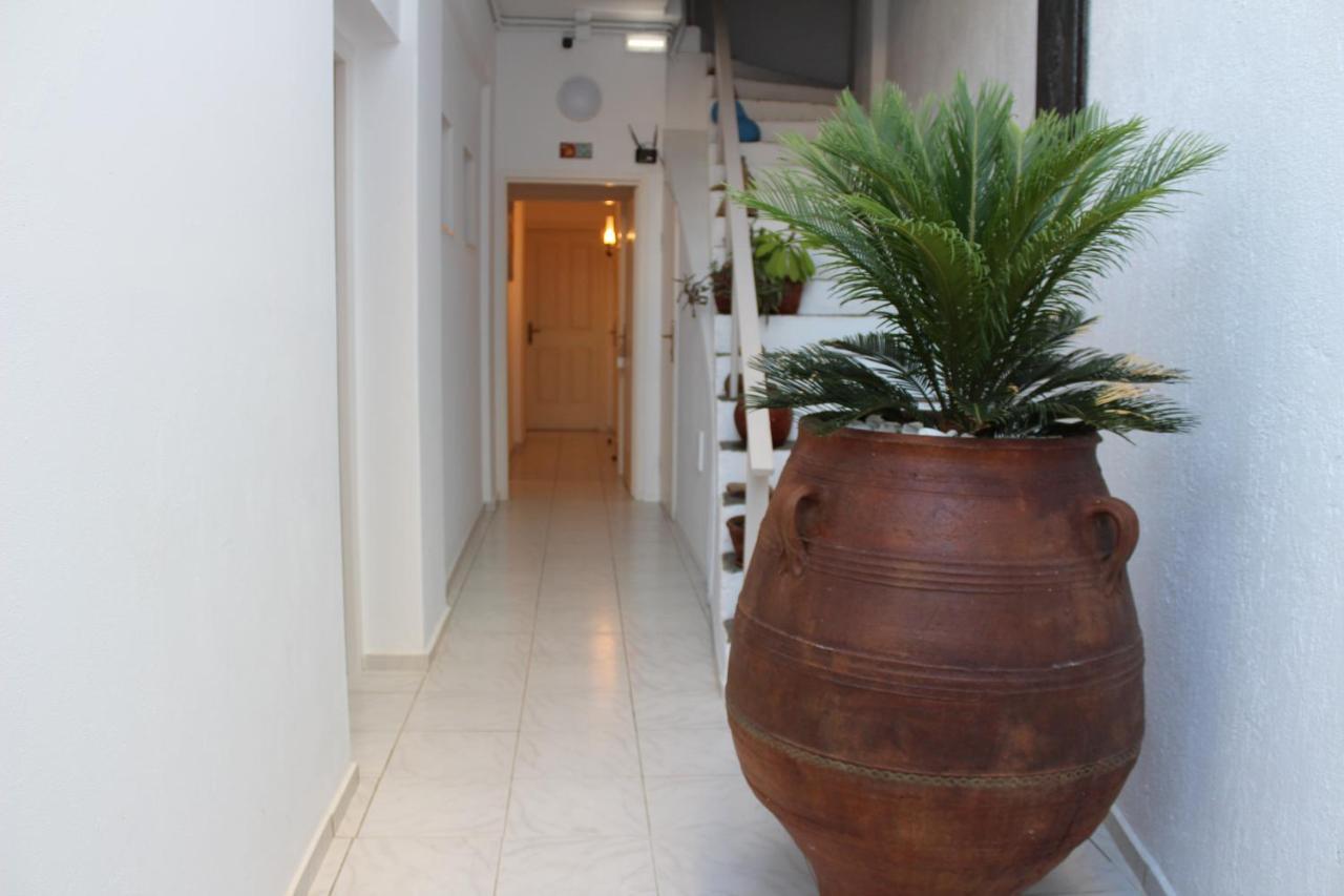 Carolina Apartments Crete Agia Pelagia Zewnętrze zdjęcie